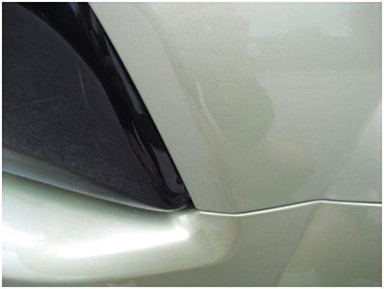 Mustang Smoked Taillight Covers (05-09) 1