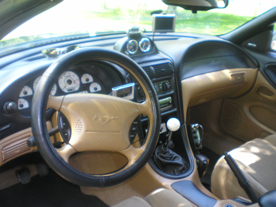 dfgstang3