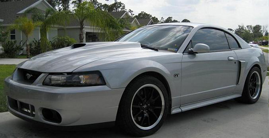 graystang1