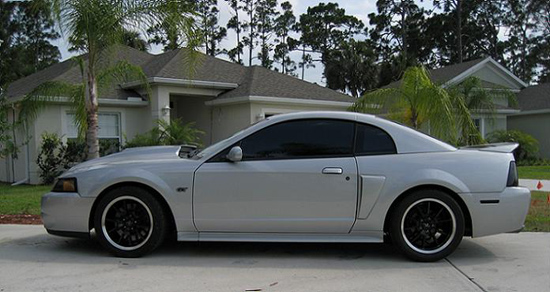 graystang2