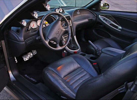 saleenstang2