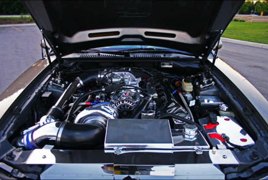 saleenstang3