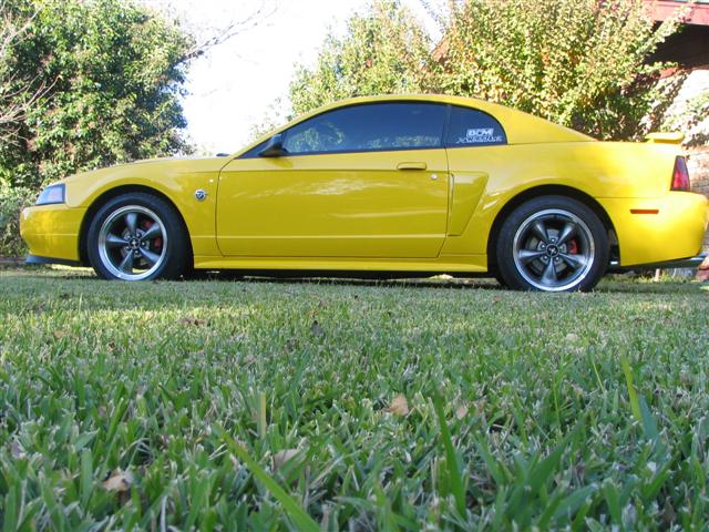 Yellow Mustang GT 