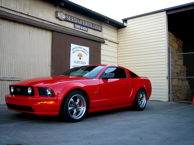 red mustang images