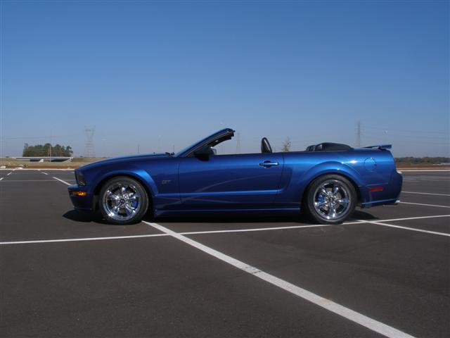 Vista Blue Mustang