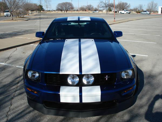 shelby blue