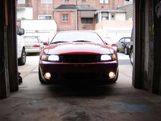 Mustang With Hids