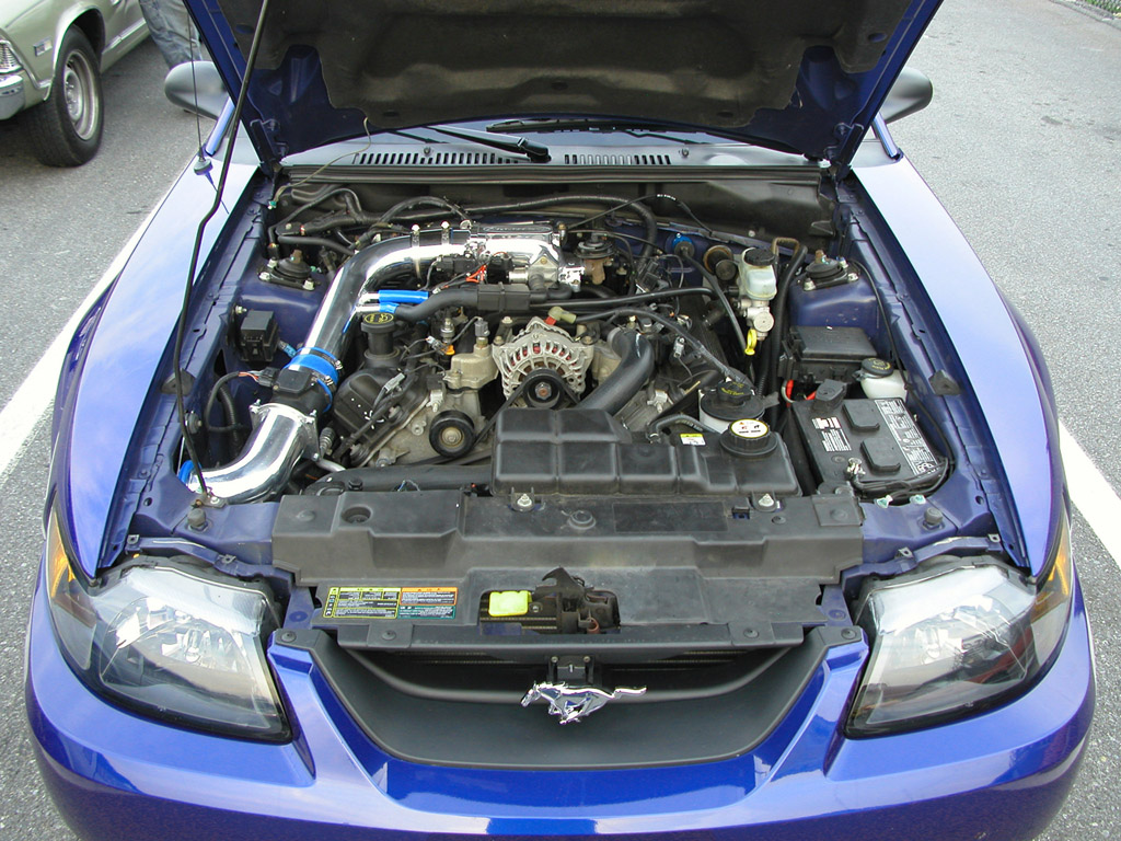 Gin Yum's Sonic Blue 2002 Mustang GT Convertible