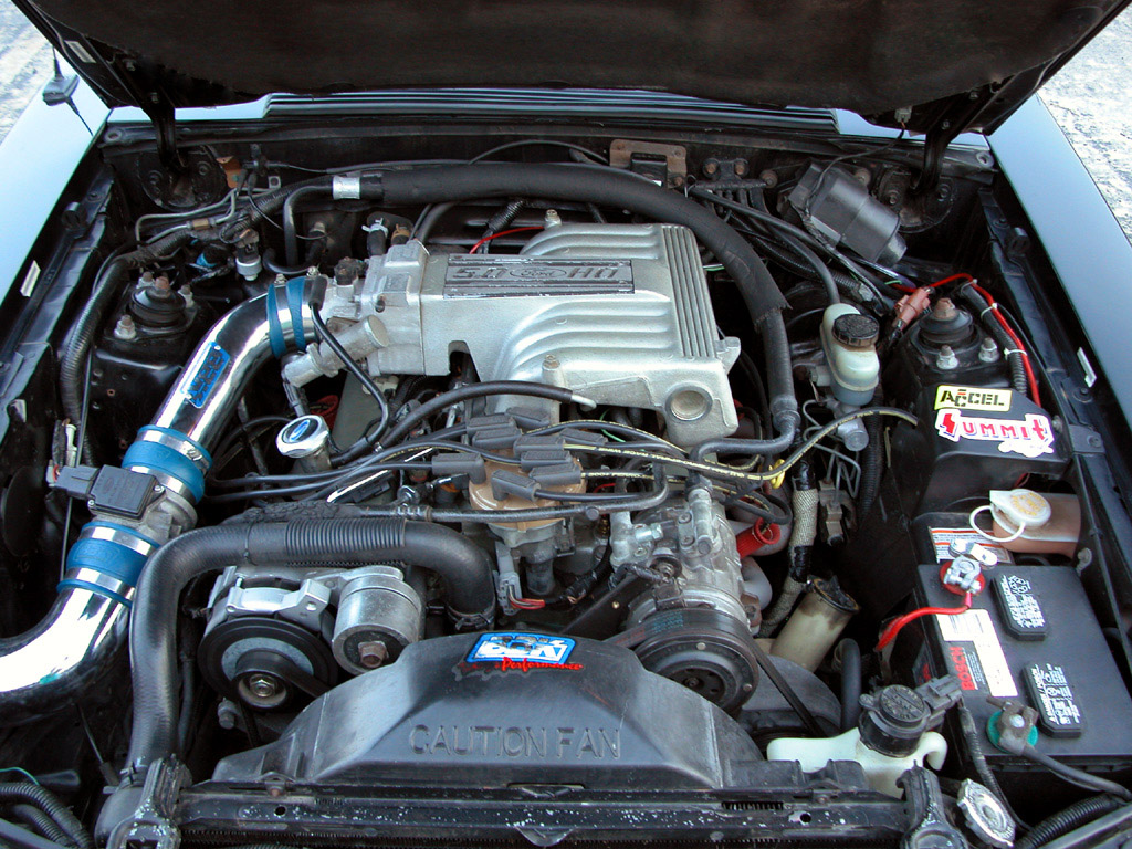 Nick M's Black 1993 Mustang GT