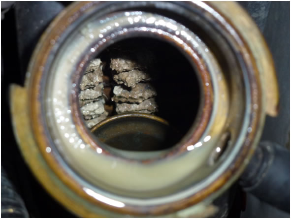 Calcium covered foxbody Mustang radiator