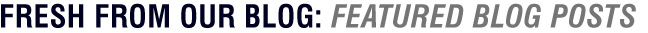 Fresh from our blog: Featured blog posts
