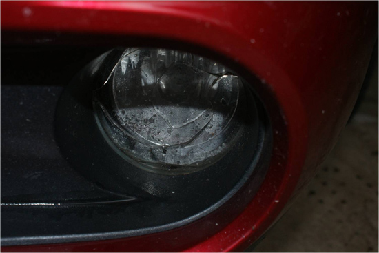 Cobra Fog Lights 0304 2