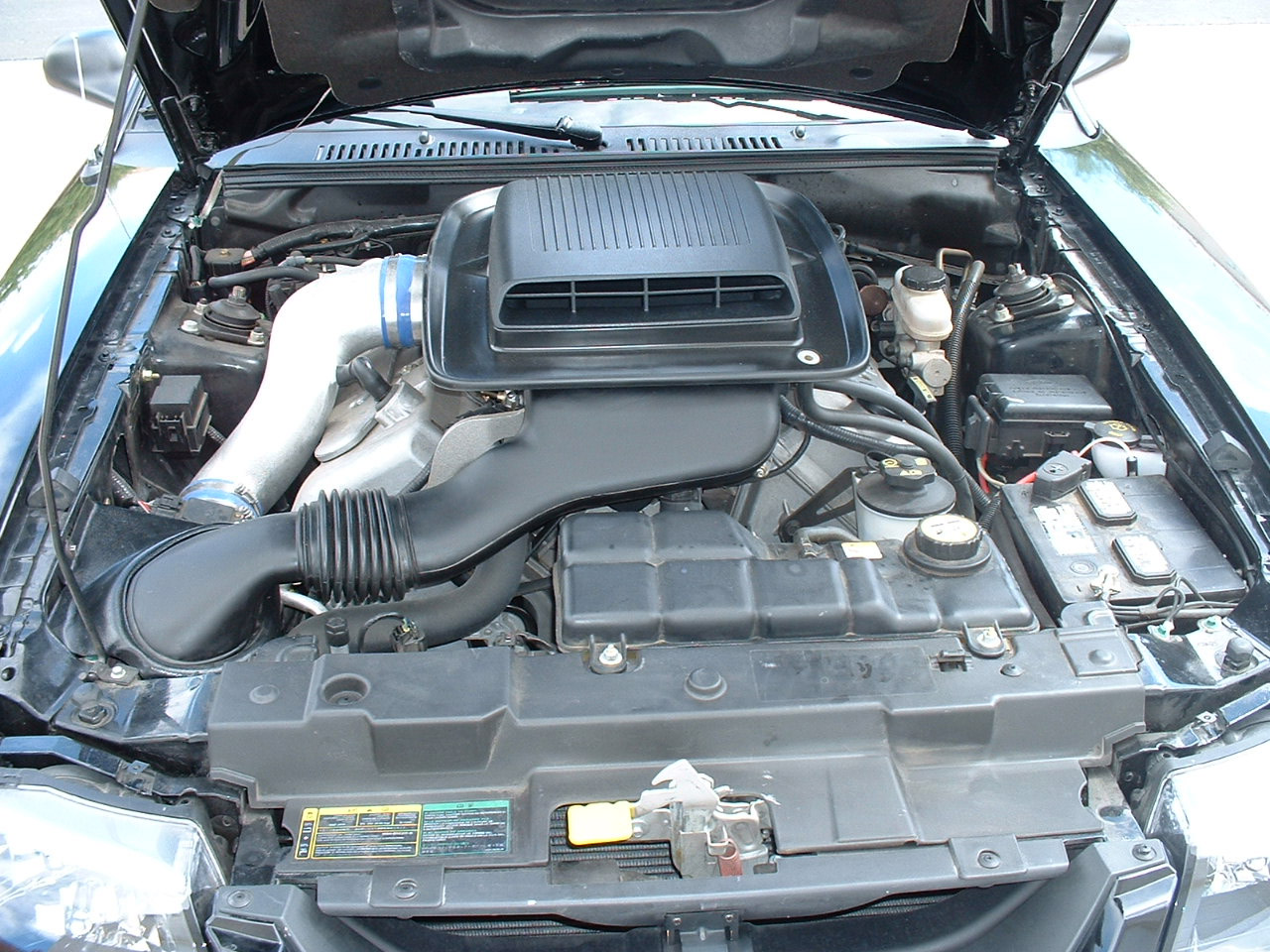 Mach 1 Mustang
