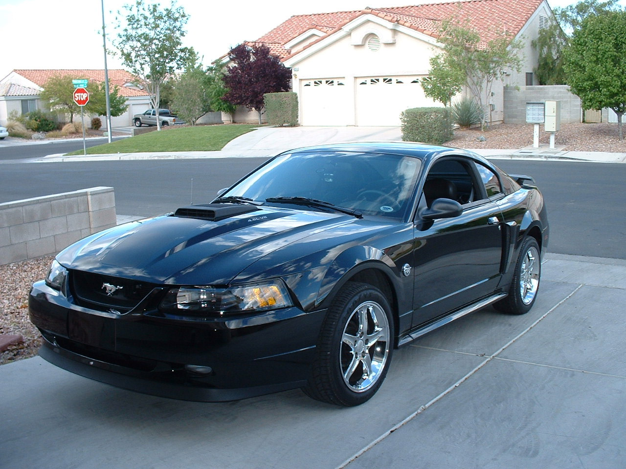 Mach 1 Mustang
