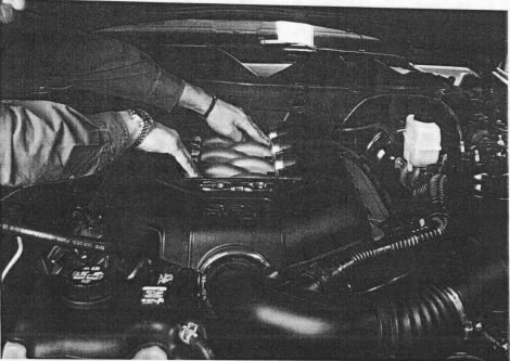 moroso-air-oil-separator-11-12-gt