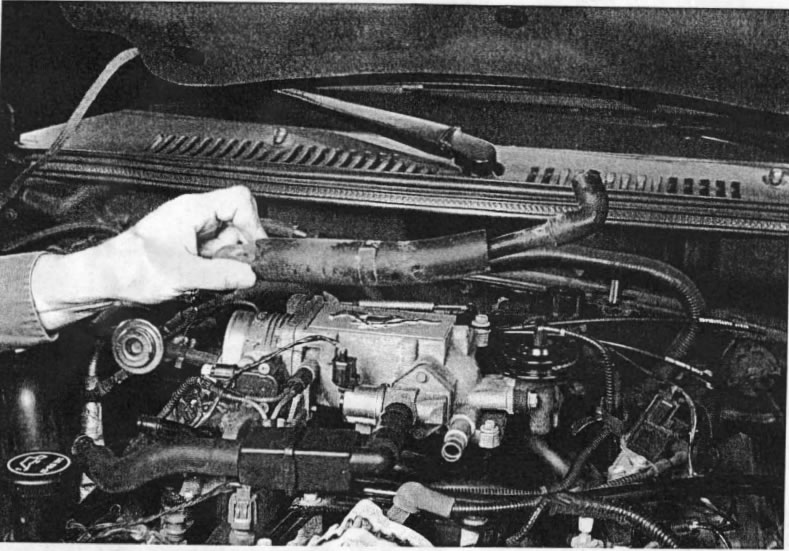 moroso-air-oil-separator-96-04-gt