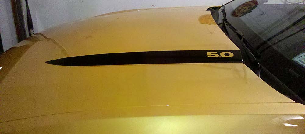 matte-black-hood-accent-decal-10-12-gt-v6