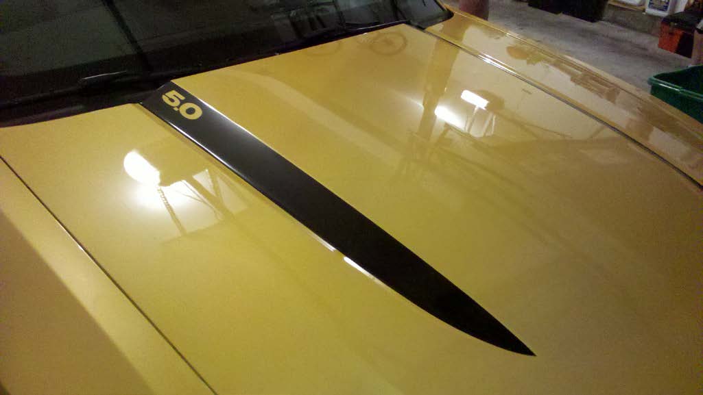 matte-black-hood-accent-decal-10-12-gt-v6